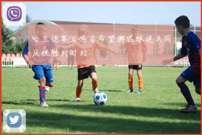 哈兰德赛后感言希望挪威球迷共同庆祝胜利时刻