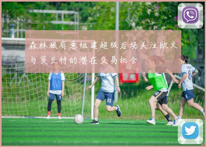 森林狼有意组建超级后场关注欧文与莫兰特的潜在交易机会