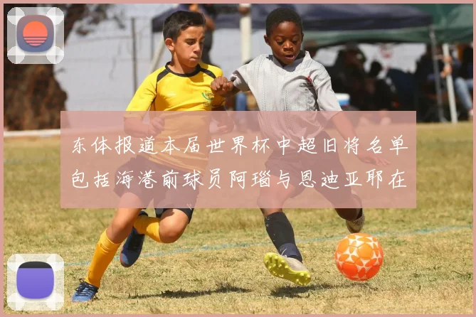 东体报道本届世界杯中超旧将名单包括海港前球员阿瑙与恩迪亚耶在内的10位球员
