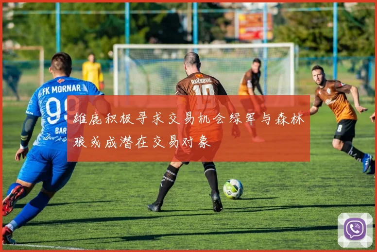 雄鹿积极寻求交易机会绿军与森林狼或成潜在交易对象